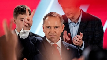 Pugilista populista: qué significa para