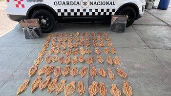 Autoridades mexicanas han decomisado buches